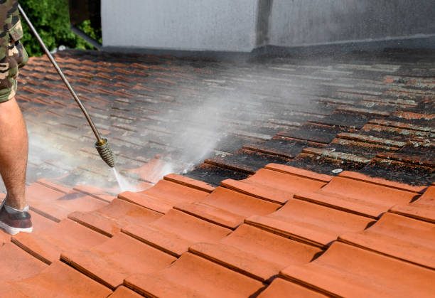 Best Residential Pressure Washing Services  in Minneola, FL