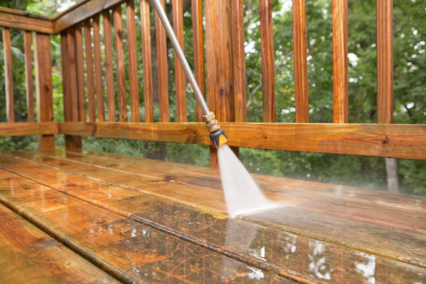 Best Roof Power Washing Services  in Minneola, FL