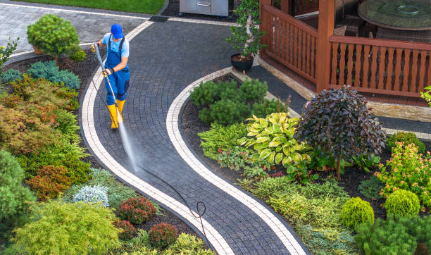 Best Concrete Pressure Washing  in Minneola, FL
